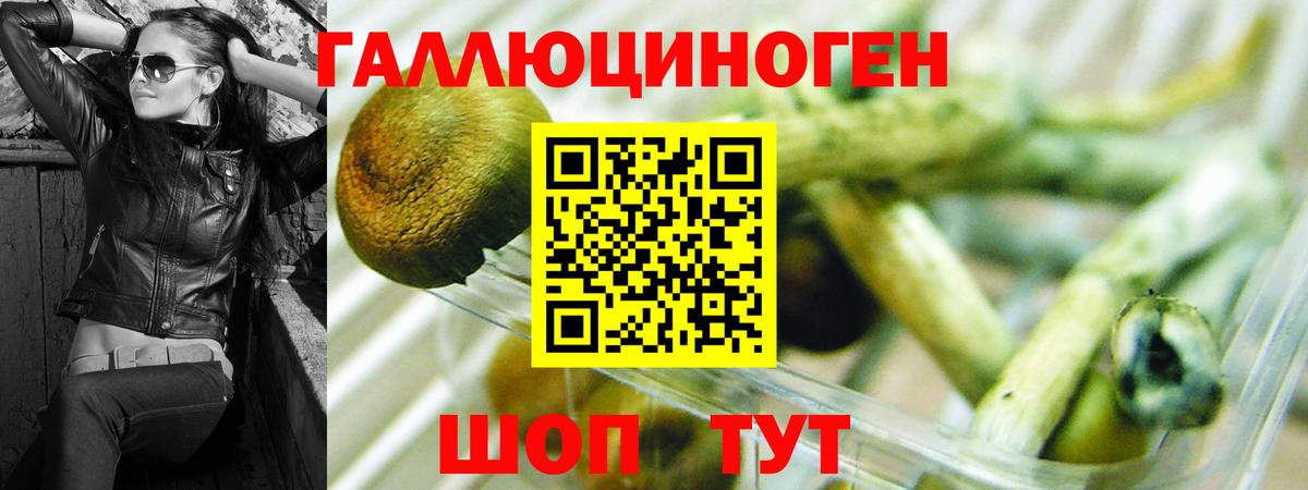 Псилоцибиновые грибы Psilocybine cubensis Аша
