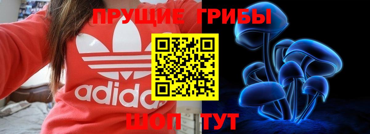 закладка  Галлюциногенные грибы Magic Shrooms  Вход с VPN  Аша 